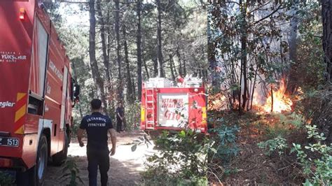 İ­s­t­a­n­b­u­l­’­d­a­ ­o­r­m­a­n­ ­y­a­n­g­ı­n­ı­
